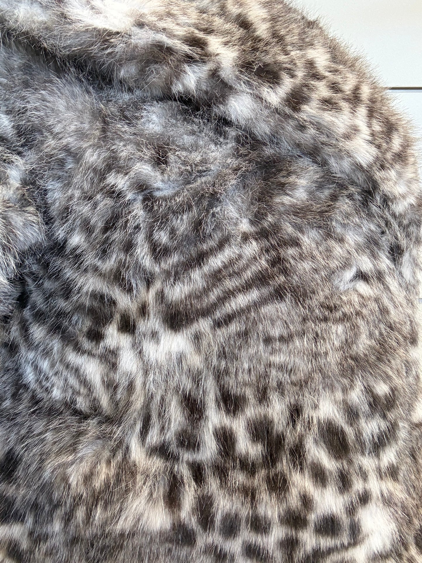 Ecopelliccia maculata